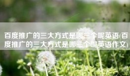 百度推广的三大方式是哪三个呢英语(百度推广的三大方式是哪三个呢英语作文)