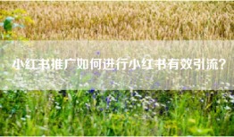 小红书推广如何进行小红书有效引流？