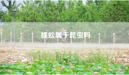 蜈蚣属于昆虫吗