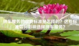 拼车服务的收费标准是怎样的？这些标准如何影响选择拼车服务？