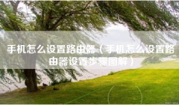 手机怎么设置路由器（手机怎么设置路由器设置步骤图解）