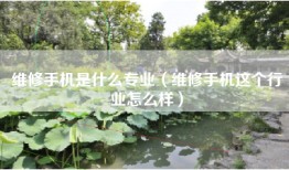 维修手机是什么专业（维修手机这个行业怎么样）