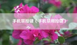 手机禁按键（手机禁用按键）
