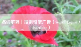 名词解释｜搜索引擎广告（Search Engine Advertising）