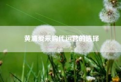 黄浦爱采购代运营的选择