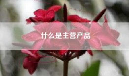 什么是主营产品