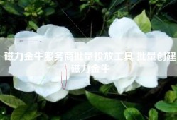 磁力金牛服务商批量投放工具 批量创建磁力金牛