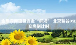金隅调用项目资金“解渴” 北京硅谷ONE交房倒计时