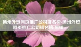 扬州外贸网页推广公司排名榜-扬州外贸网页推广公司排名榜(黑帽seo)
