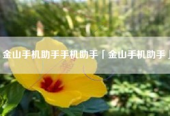 金山手机助手手机助手「金山手机助手」