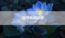 动物名词动用