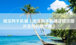 淘宝网手机端（淘宝网手机端详情页图片支持的格式是）