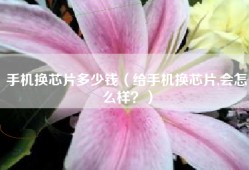 手机换芯片多少钱（给手机换芯片,会怎么样？）