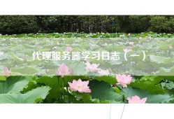 代理服务器学习日志（一）