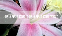 酷比手机官网（酷比手机官网下载）