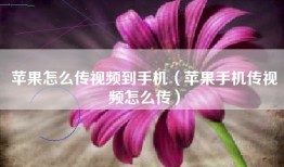 苹果怎么传视频到手机（苹果手机传视频怎么传）