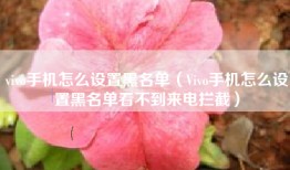 vivo手机怎么设置黑名单（Vivo手机怎么设置黑名单看不到来电拦截）