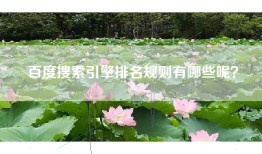 百度搜索引擎排名规则有哪些呢？