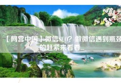【网营中国】微信SEO？做微信遇到瓶颈的赶紧来看看...