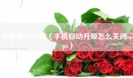 手机自动升级（手机自动升级怎么关闭oppo）