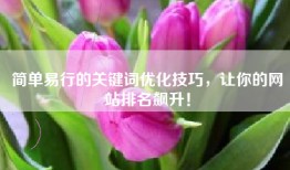 简单易行的关键词优化技巧，让你的网站排名飙升！