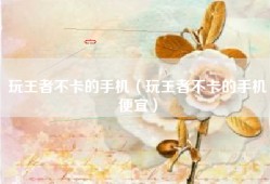 玩王者不卡的手机（玩王者不卡的手机便宜）
