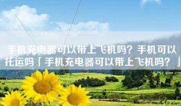 手机充电器可以带上飞机吗？手机可以托运吗「手机充电器可以带上飞机吗？」