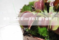 曲昱曈诺基亚5800手机主题「曲昱曈」