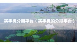 买手机分期平台（买手机的分期平台）