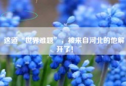 这道“世界难题”，被来自河北的他解开了！