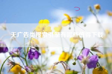 无广告类搜索引擎有哪些值得下载