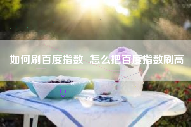 如何刷百度指数  怎么把百度指数刷高