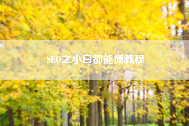 SEO之小白都能懂教程