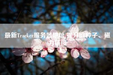 最新Tracker服务器地址 提升BT种子、磁力链接