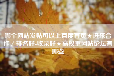 哪个网站发帖可以上百度首页★进来合作／排名好-收录好★高权重网站论坛有哪些