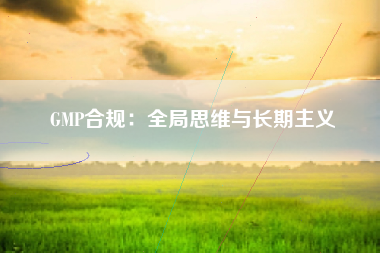 GMP合规：全局思维与长期主义