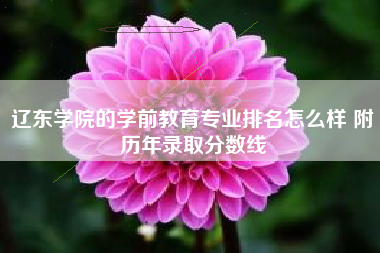 辽东学院的学前教育专业排名怎么样 附历年录取分数线