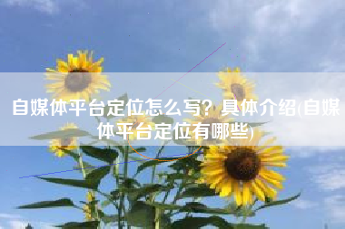 自媒体平台定位怎么写？具体介绍(自媒体平台定位有哪些)