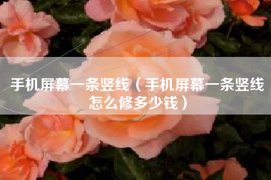 手机屏幕一条竖线（手机屏幕一条竖线怎么修多少钱）