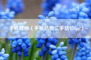 手机股价（手机估价二手估价app）