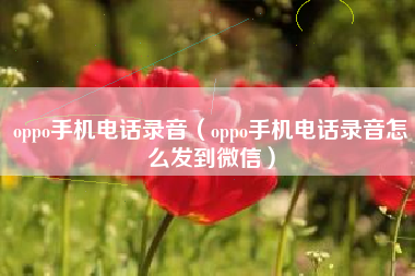 oppo手机电话录音（oppo手机电话录音怎么发到微信）