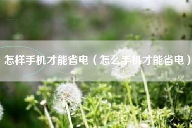 怎样手机才能省电（怎么手机才能省电）