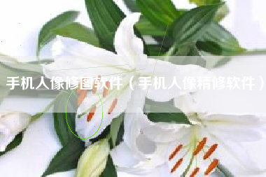 手机人像修图软件（手机人像精修软件）