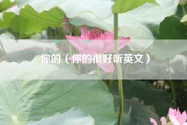 你的（你的很好听英文）