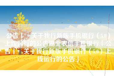 公告丨​关于我行新版手机银行（5.0）上线运行的公告湖北农信手机银行「公告丨​关于我行新版手机银行（5.0）上线运行的公告」
