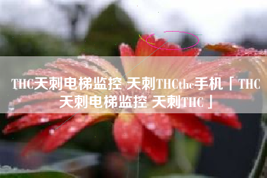 THC天刺电梯监控 天刺THCthc手机「THC天刺电梯监控 天刺THC」