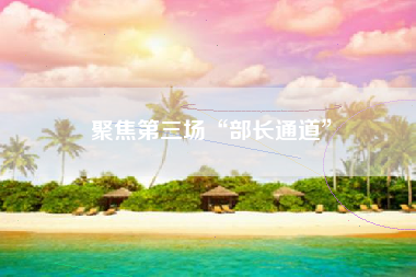聚焦第三场“部长通道”