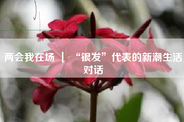 两会我在场 ｜ “银发”代表的新潮生活对话