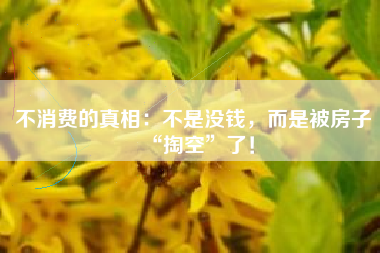 不消费的真相：不是没钱，而是被房子“掏空”了！