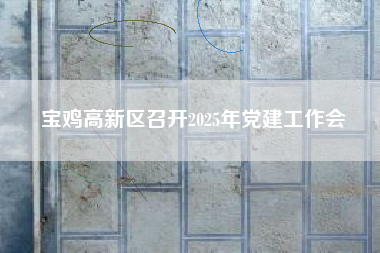 宝鸡高新区召开2025年党建工作会